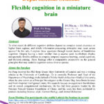 20260420_715_Fei Peng_P