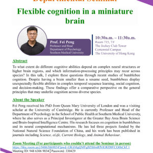 20260420_715_Fei Peng_P